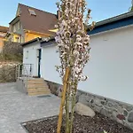 Silbermoewe * Binz