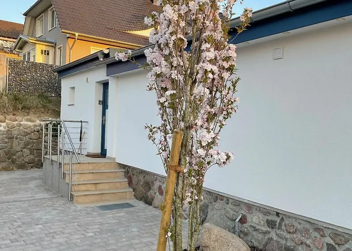 Silbermoewe * Binz